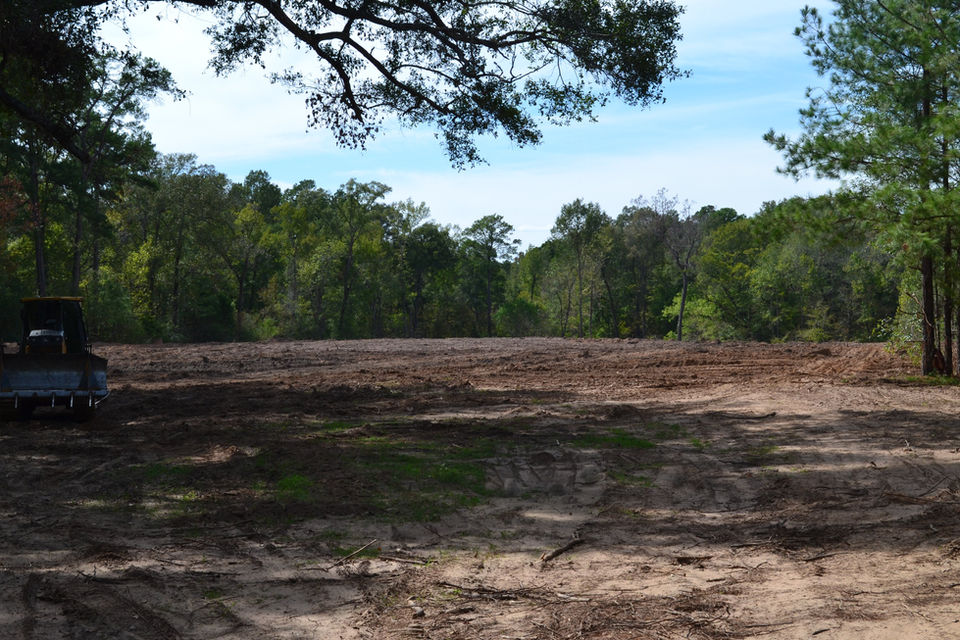 CR 816 Land